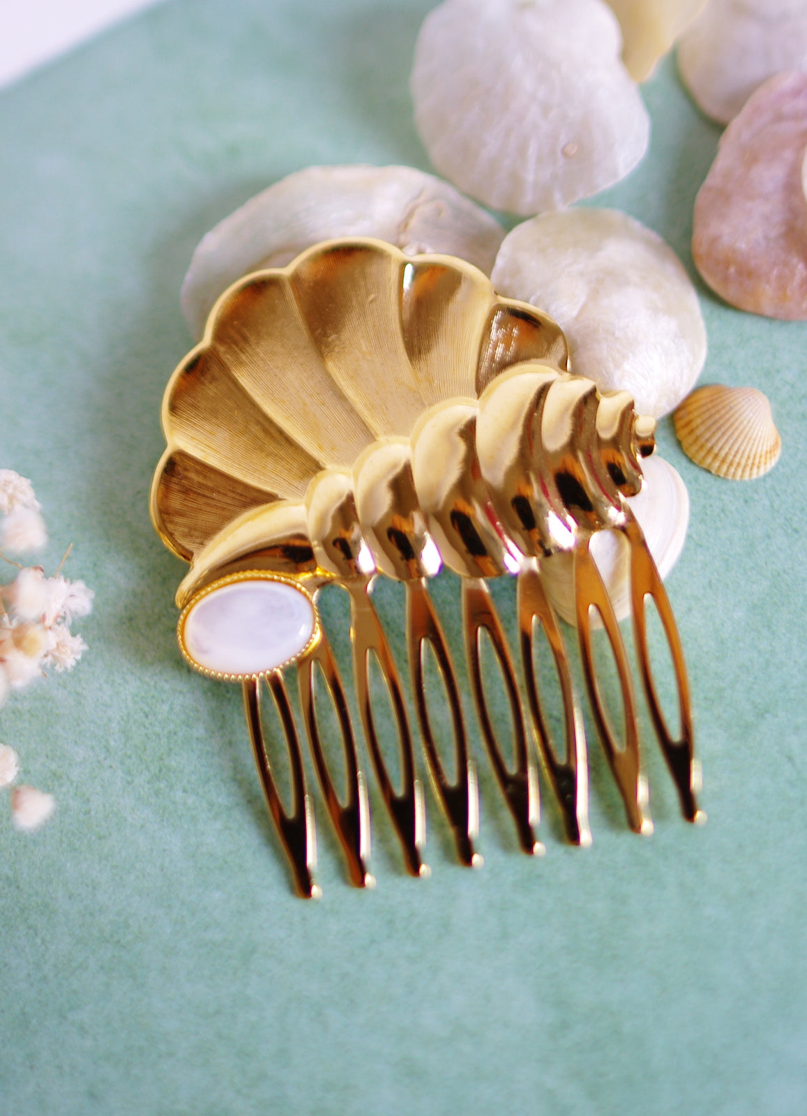 peigne coquillages