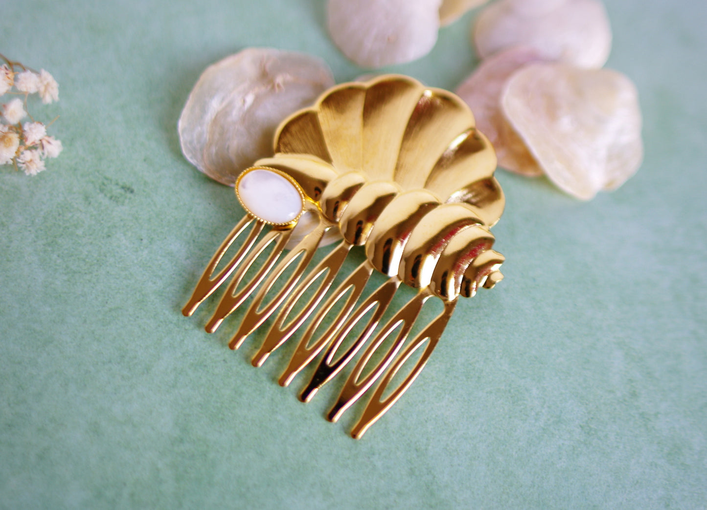 peigne coquillages