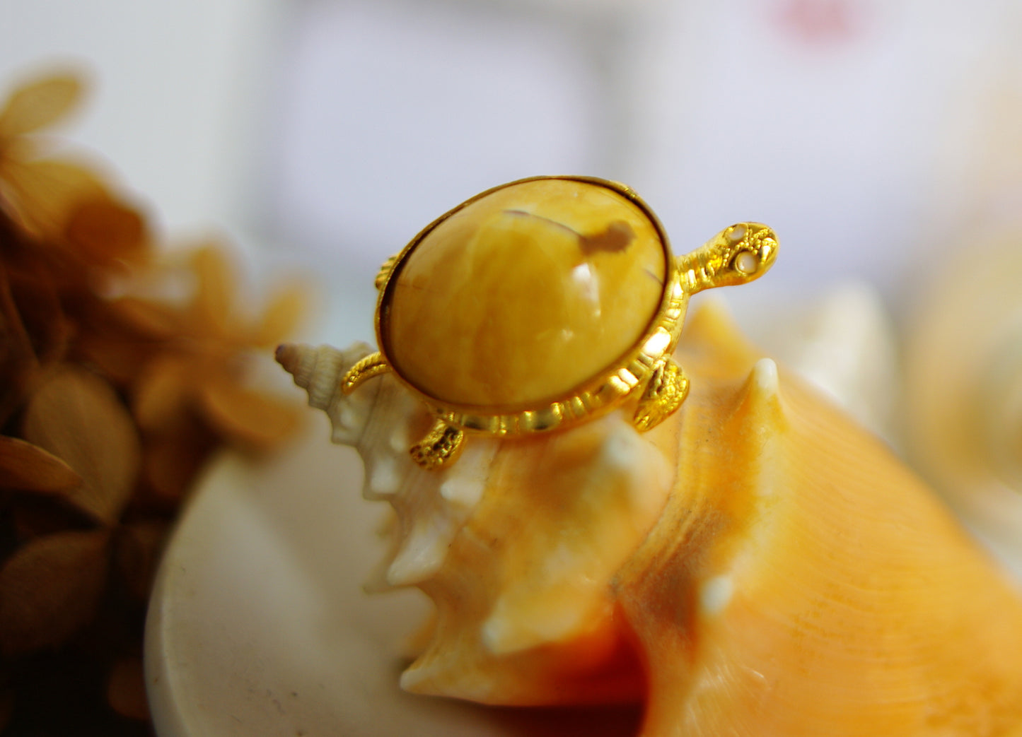 pin's tortue