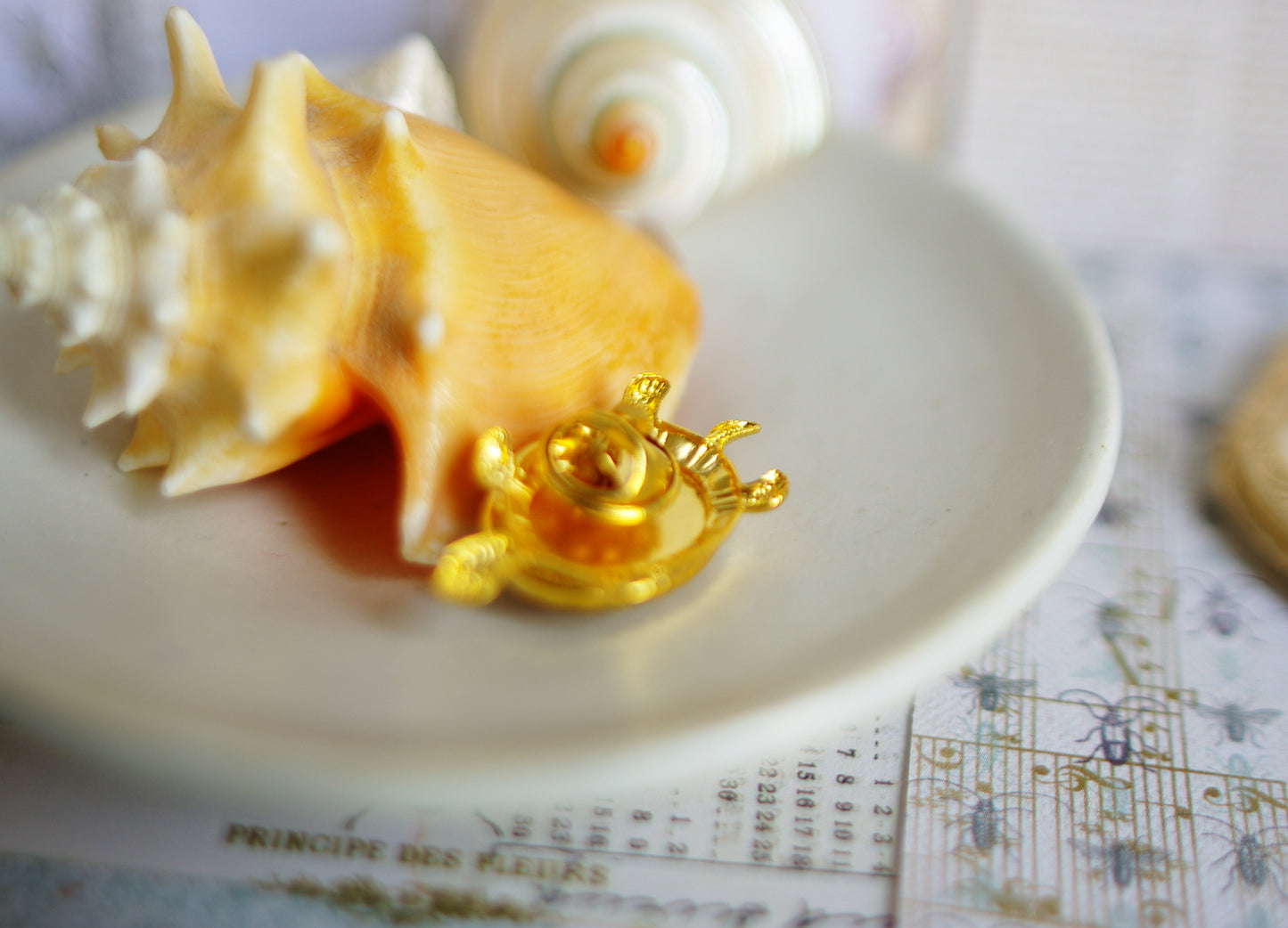 pin's tortue