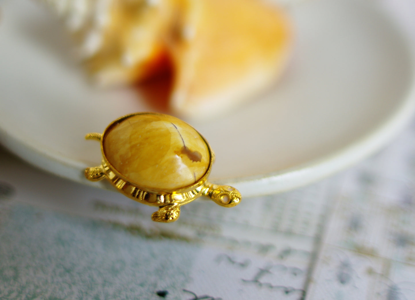 pin's tortue