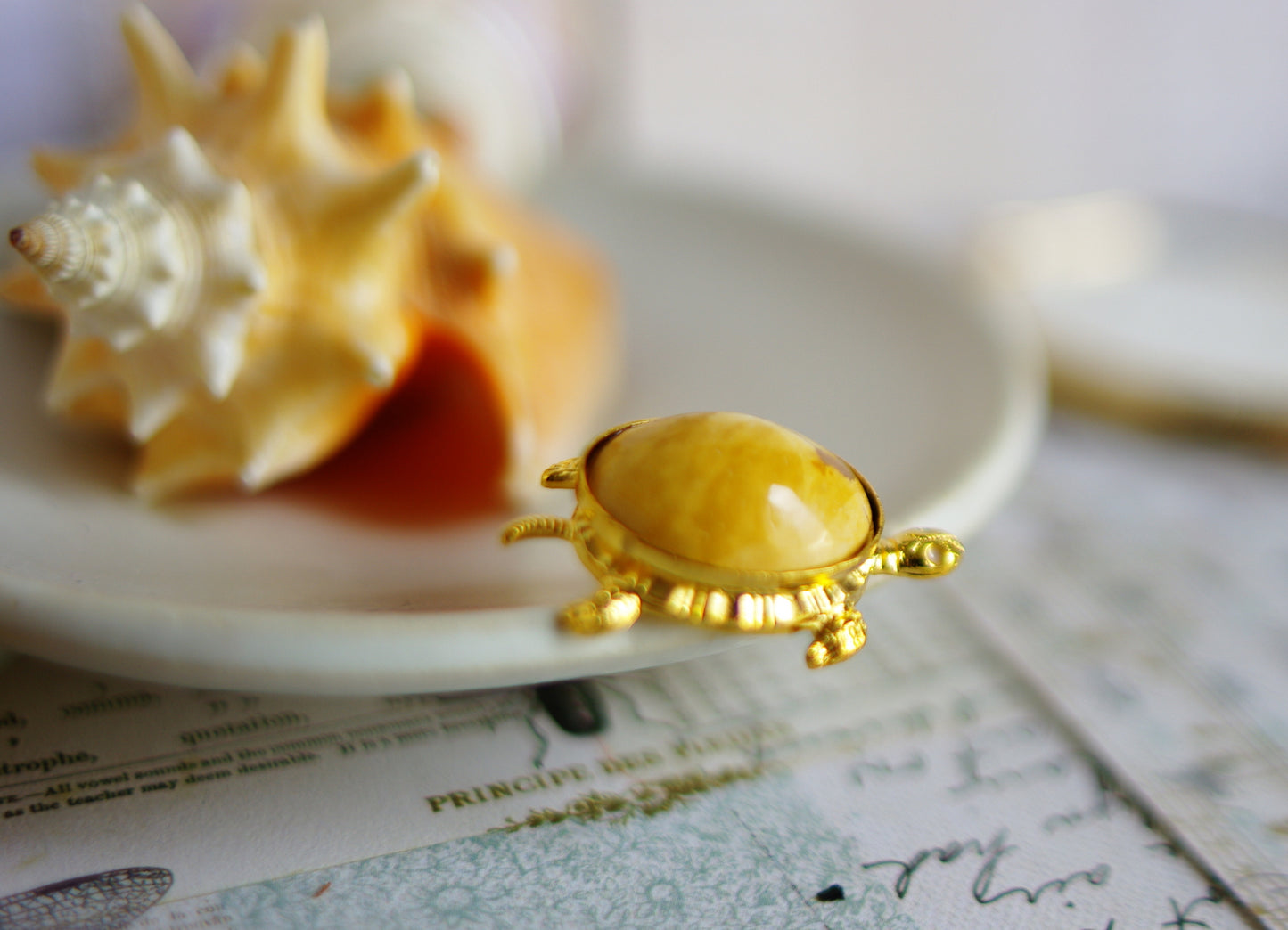 pin's tortue