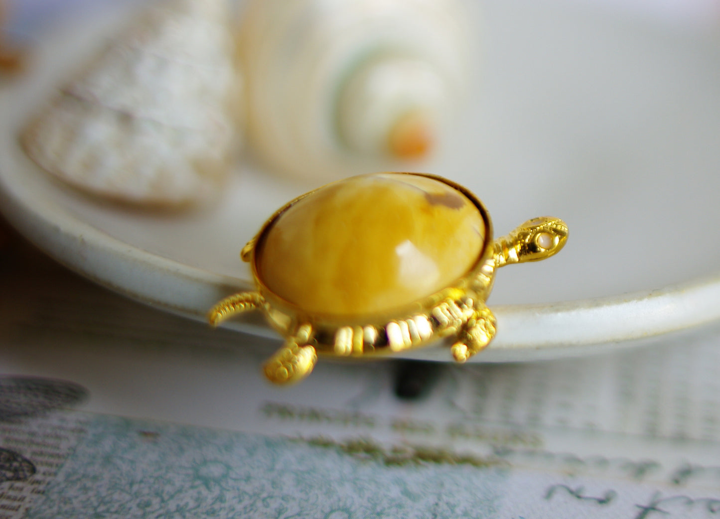 pin's tortue