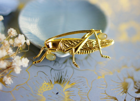 broche insecte